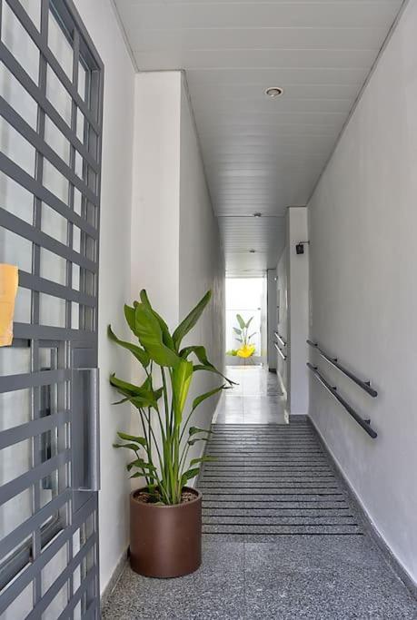 Apartment Increible Centrico 0a